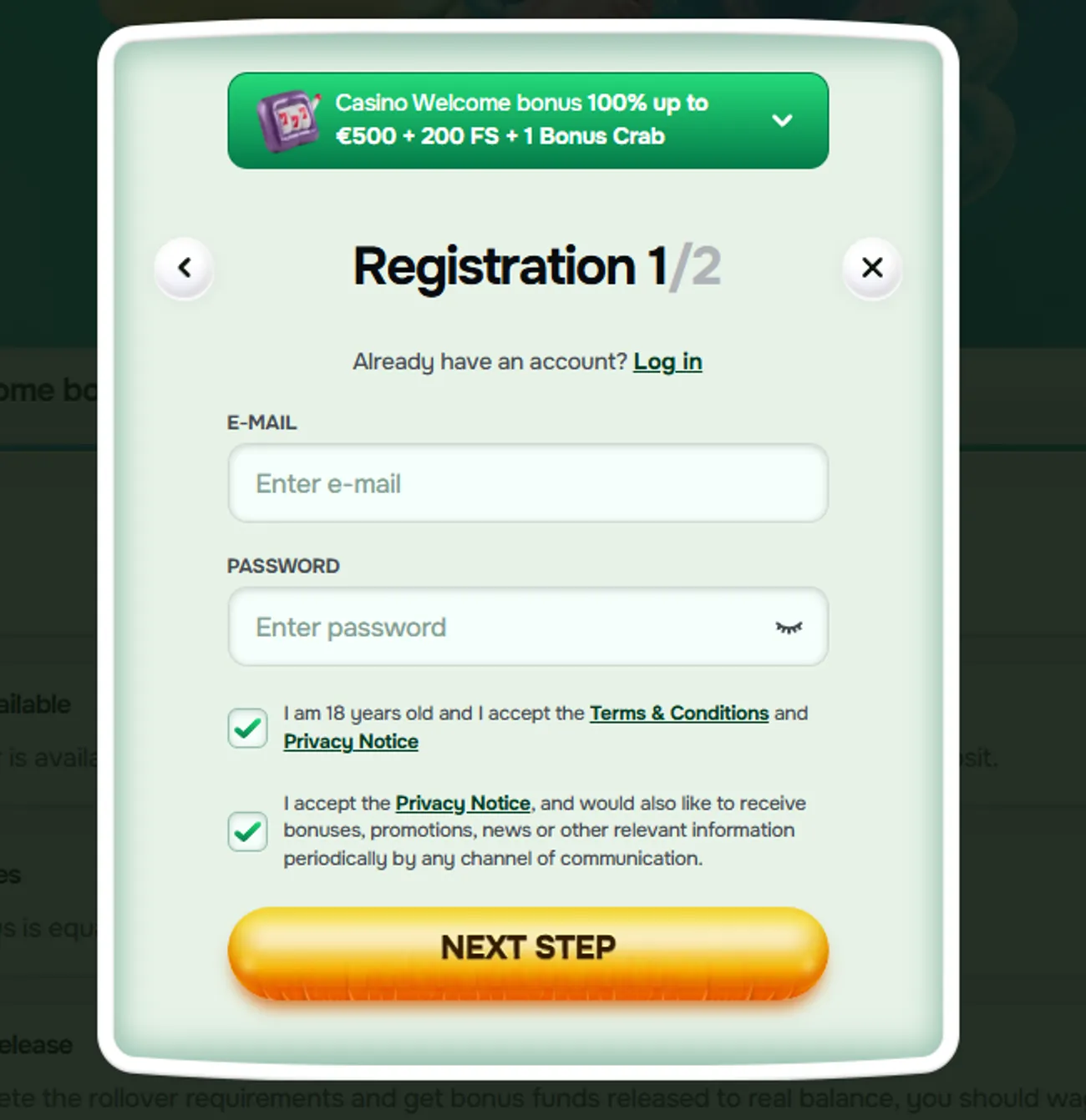 Bingo online betmotion